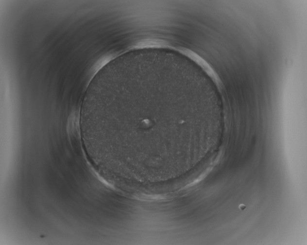 X0000111831337200908201143