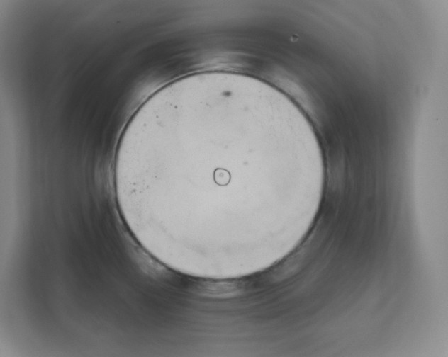 X0000111831338200908201143