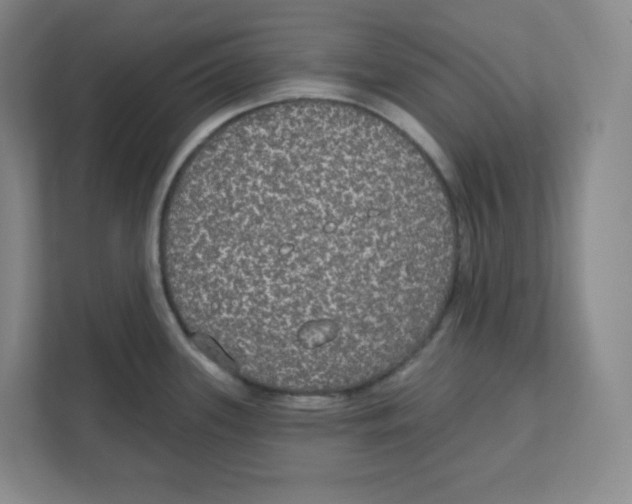 X0000111831339200908201143