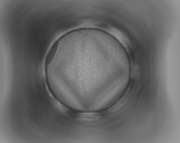 X0000111831342200908201143