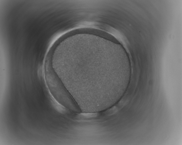 X0000111831344200908201143