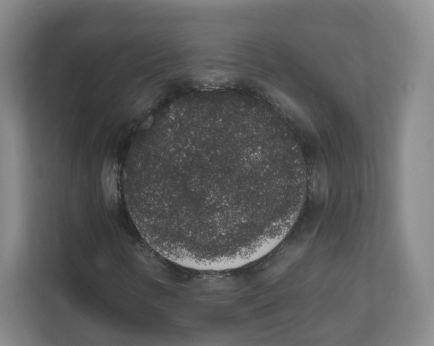 X0000111831346200908201142