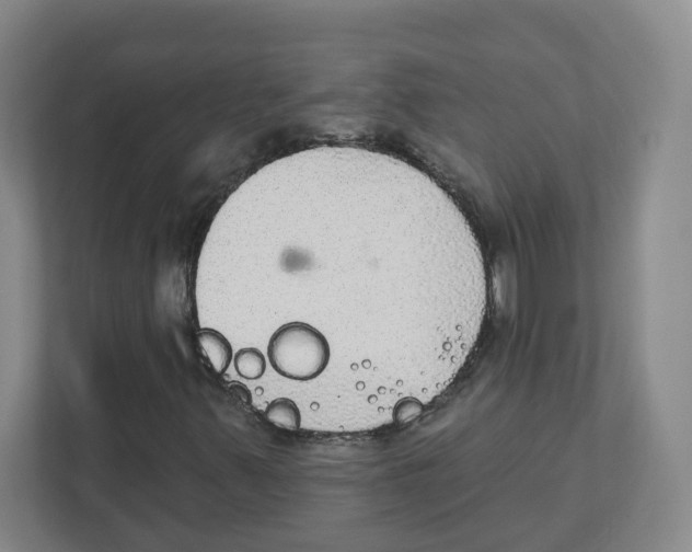 X0000111831347200908201142