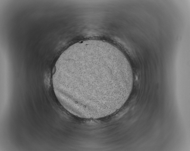 X0000111831348200908201142