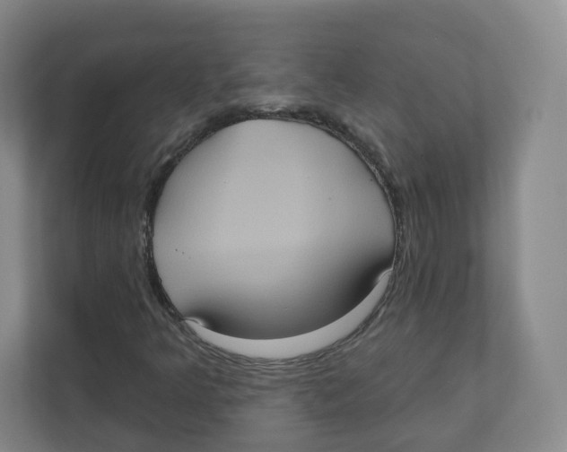 X0000111831349200908201142