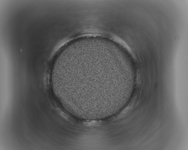 X0000111831352200908201142