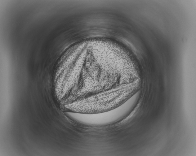 X0000111831353200908201142