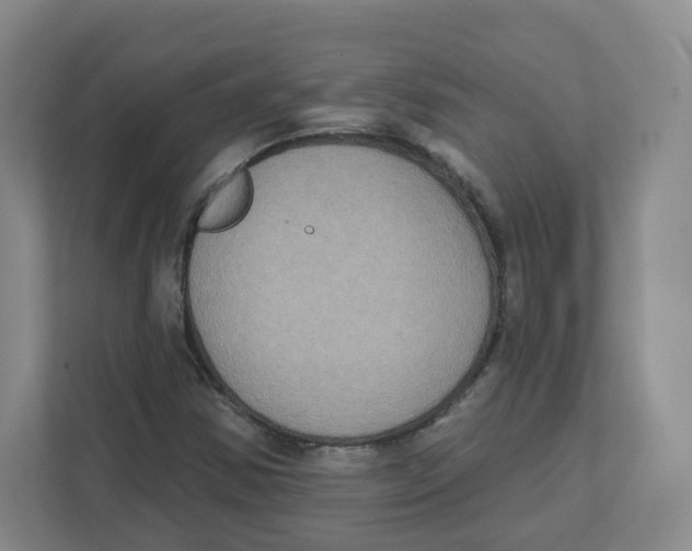 X0000111831354200908201142