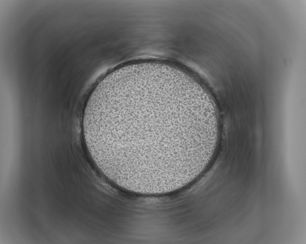 X0000111831355200908201142