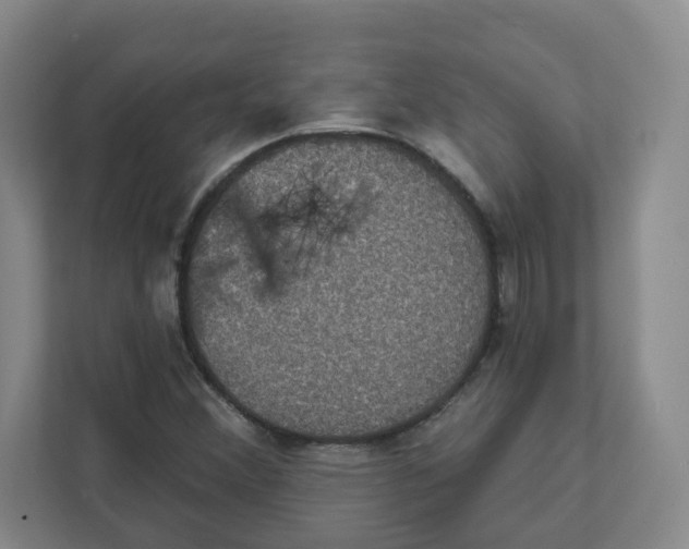 X0000111831356200908201142