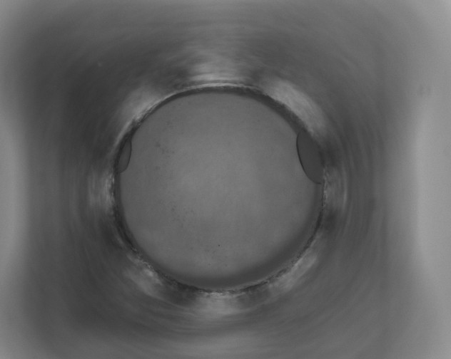 X0000111831357200908201142