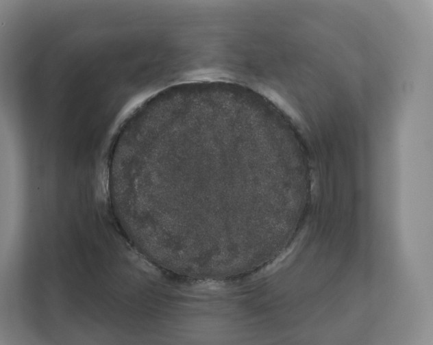 X0000111831358200908201142