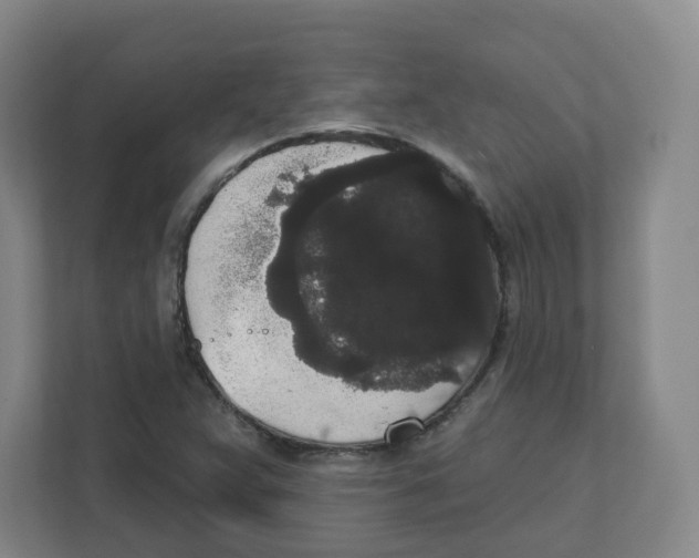 X0000111831359200908201142