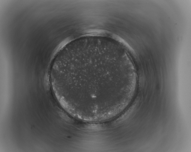 X0000111831362200908201142