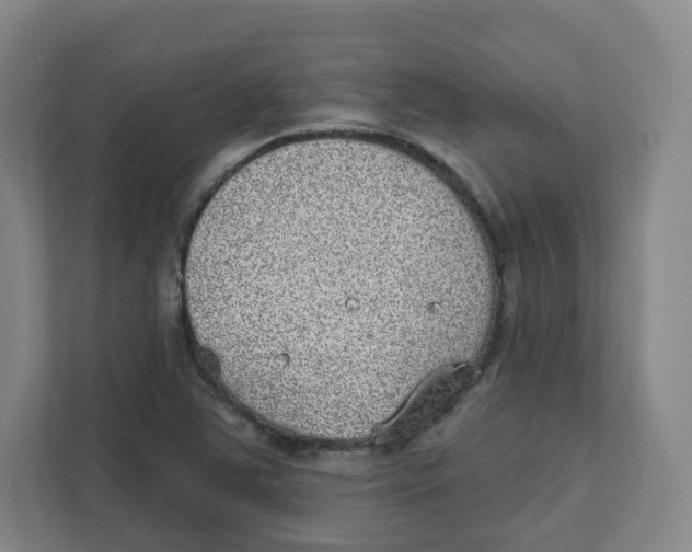 X0000111831363200908201142