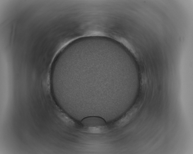 X0000111831364200908201142