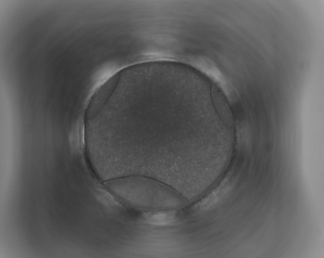 X0000111831365200908201142