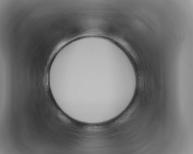 X0000111831366200908201142