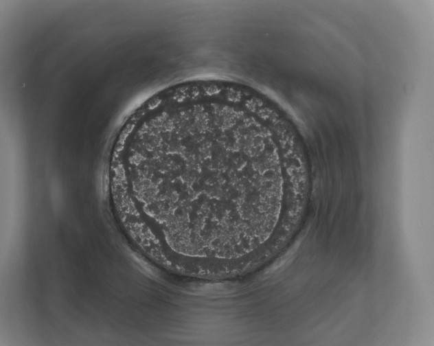 X0000111831367200908201142