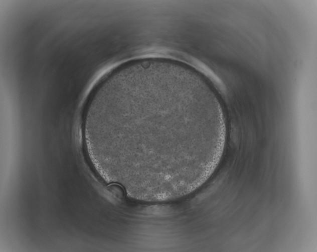 X0000111831368200908201142