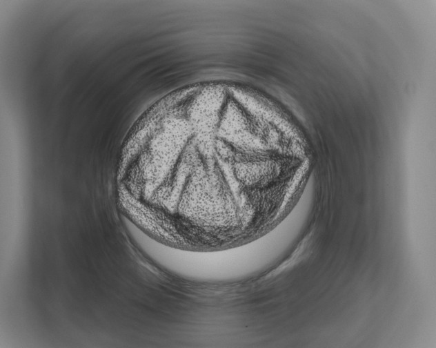 X0000111831369200908201142