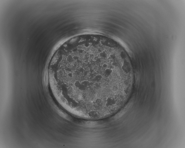 X0000111831371200908201142