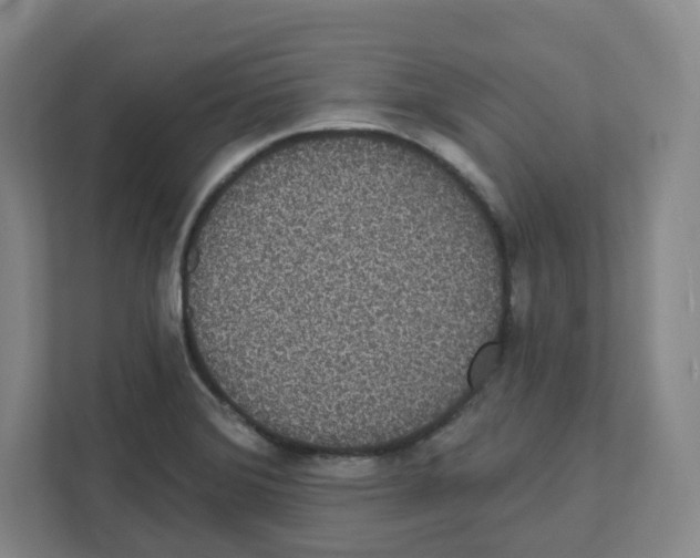 X0000111831372200908201142