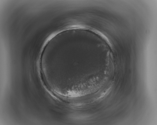 X0000111831373200908201142