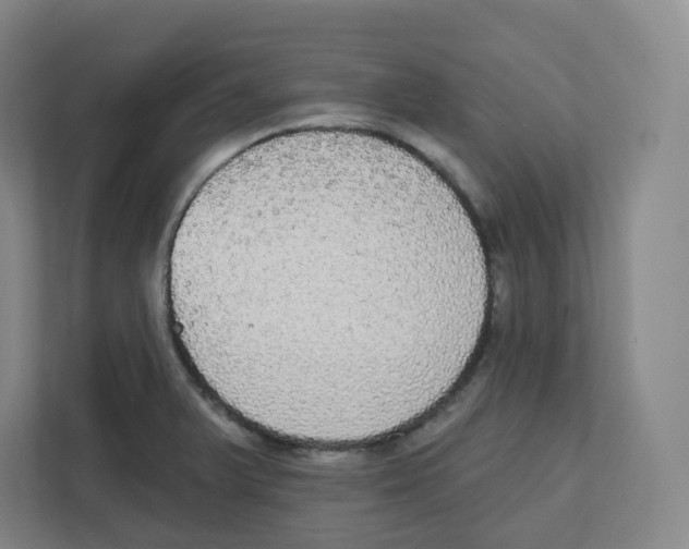 X0000111831375200908201142