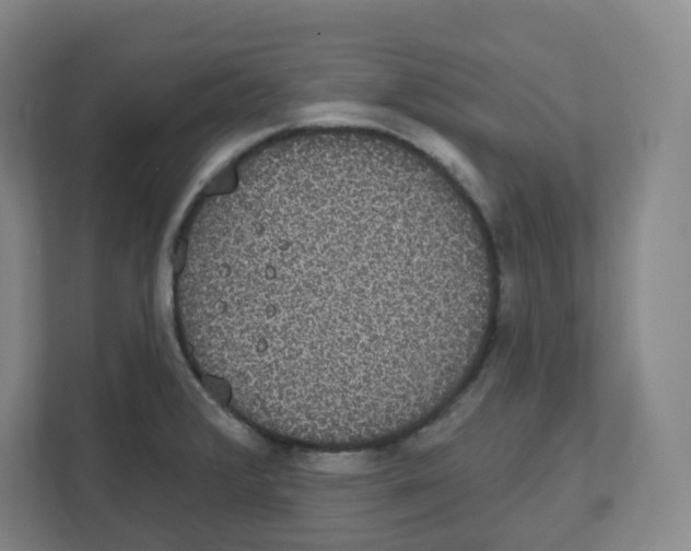 X0000111831376200908201142