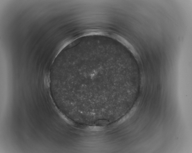 X0000111831377200908201142