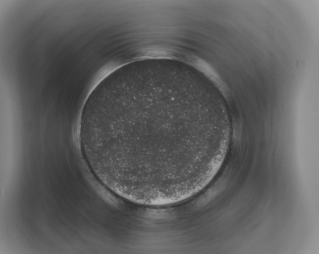 X0000111831378200908201142