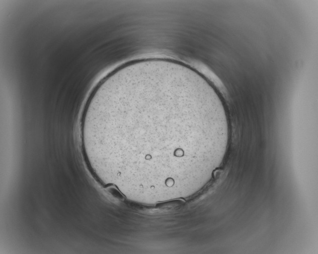 X0000111831380200908201142