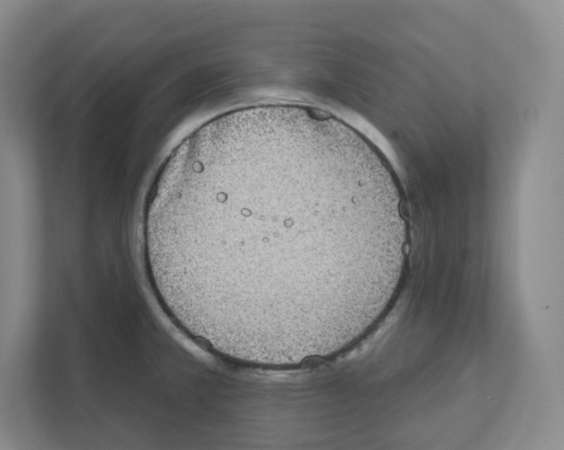 X0000111831381200908201142