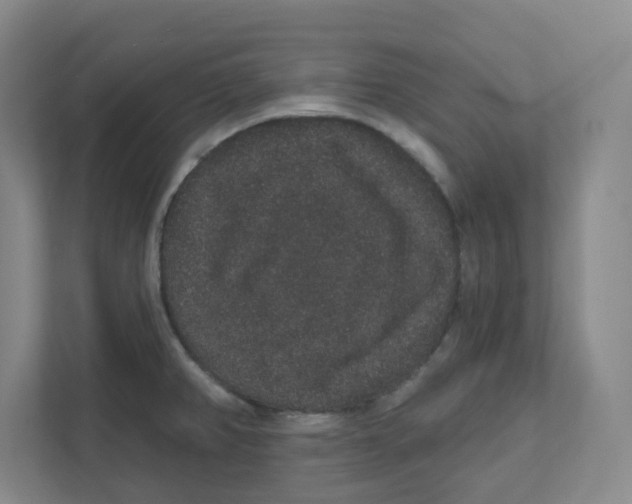 X0000111831382200908201142