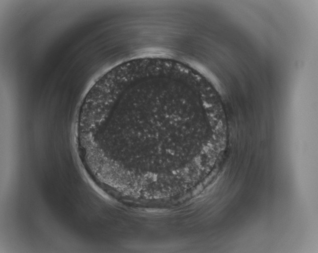 X0000111831383200908201142