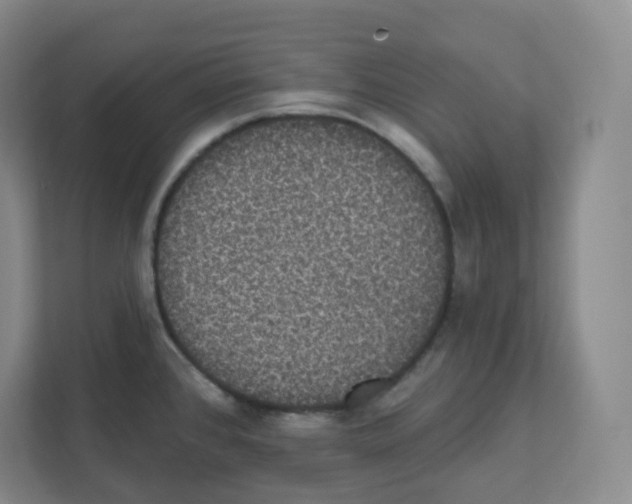 X0000111831384200908201142