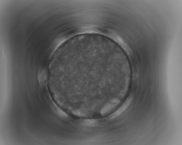 X0000111831385200908201142