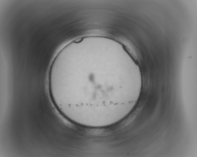 X0000111831387200908201142