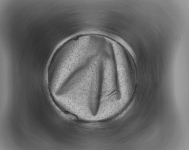 X0000111831388200908201142