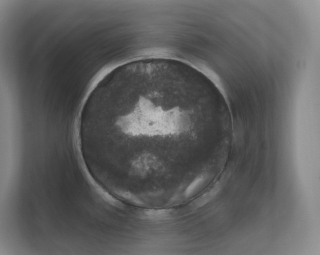 X0000111831389200908201142