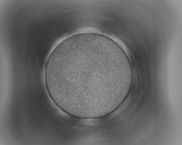 X0000111831390200908201142