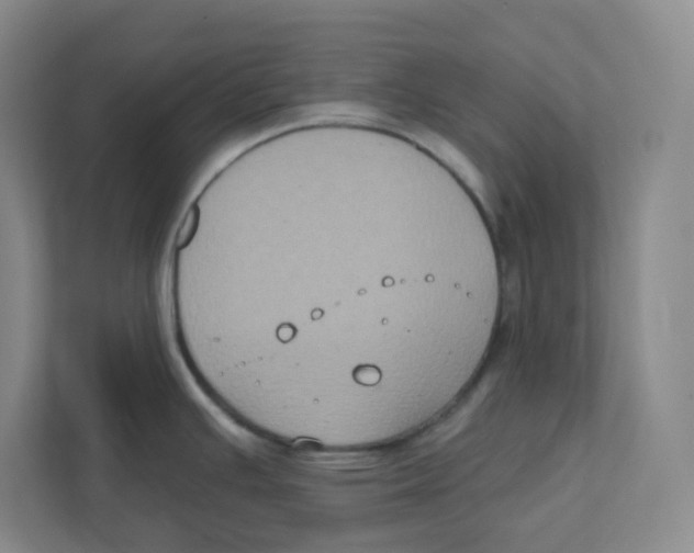 X0000111831391200908201142