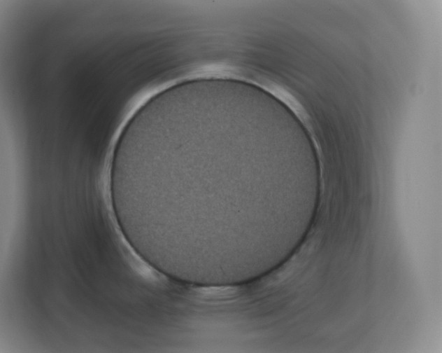 X0000111831392200908201142