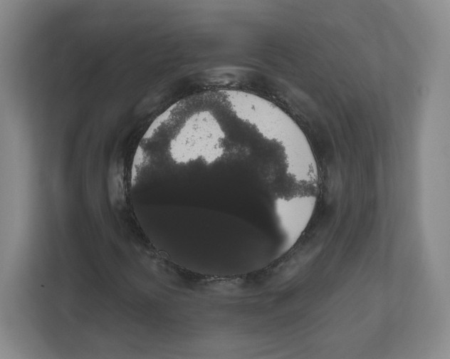 X0000111831394200908201141