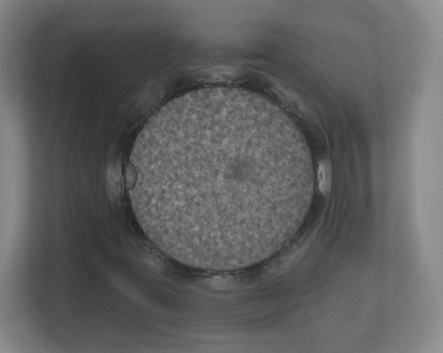 X0000111831395200908201141