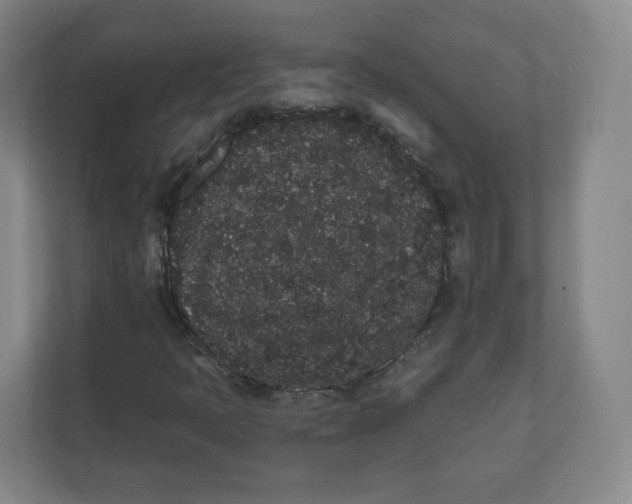 X0000111831397200908201141