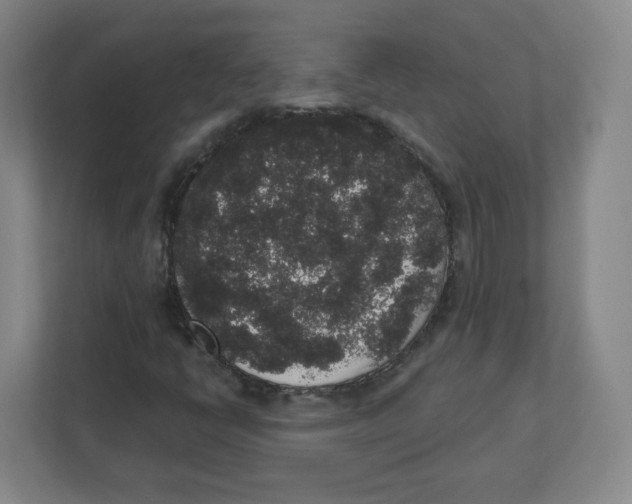 X0000111831398200908201141