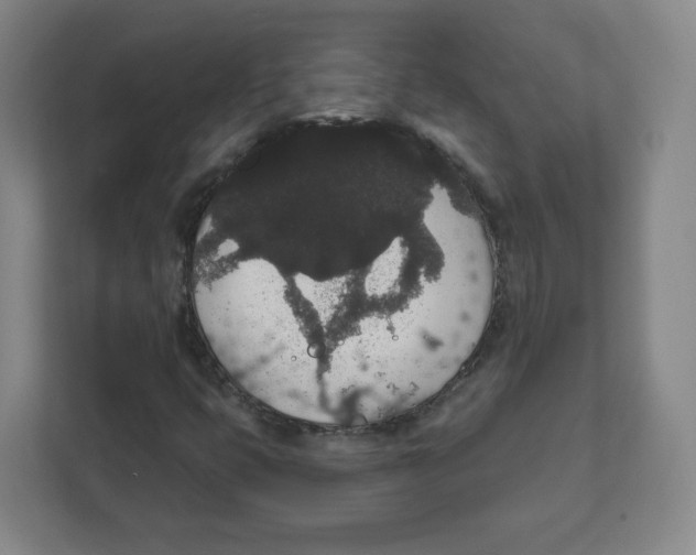 X0000111831399200908201141