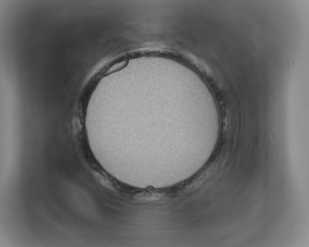 X0000111831400200908201141